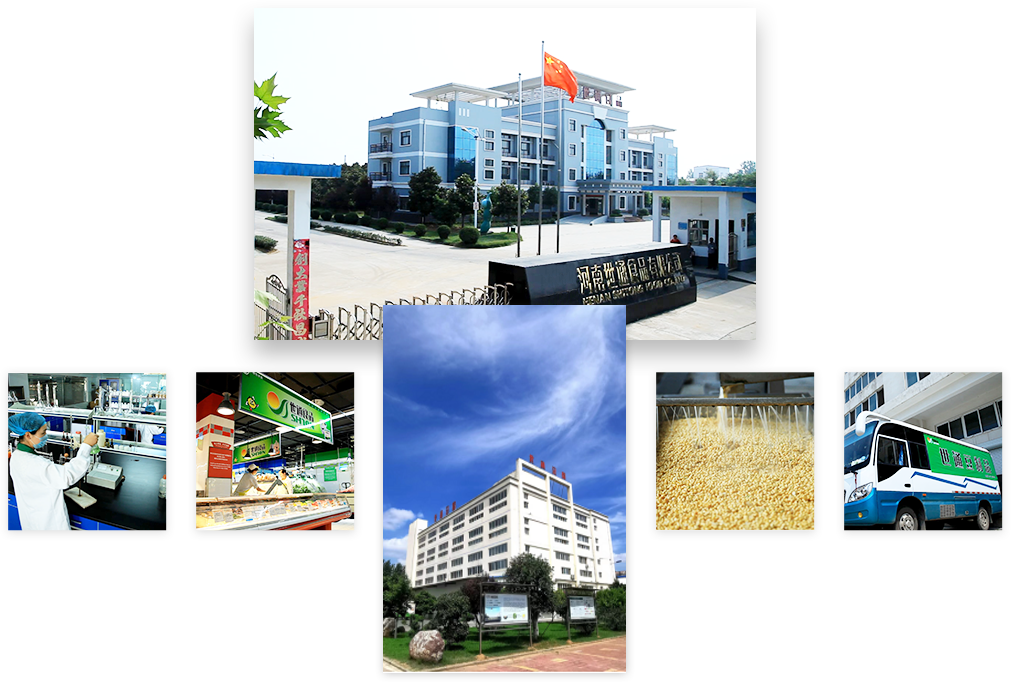 关于我们 -  - 3